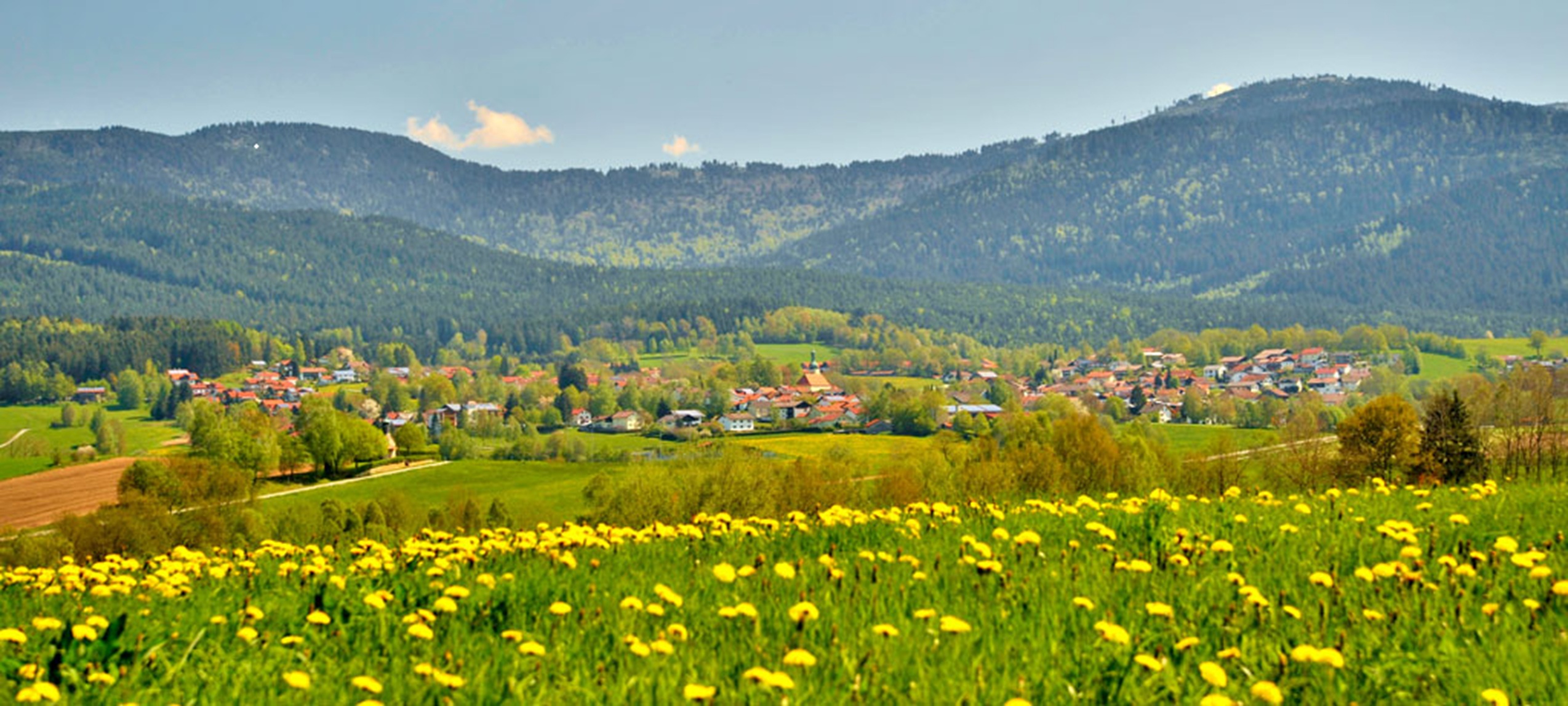 Arnbruck Ortsansicht